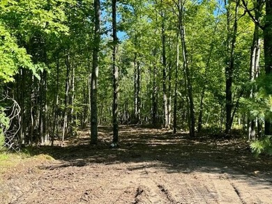 Beach Acreage For Sale in Cheboygan, Michigan