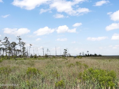 Beach Lot For Sale in Oriental, North Carolina