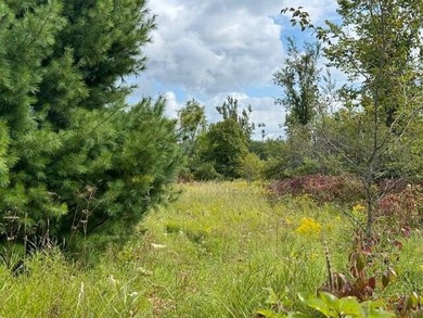 Beach Acreage For Sale in Cheboygan, Michigan