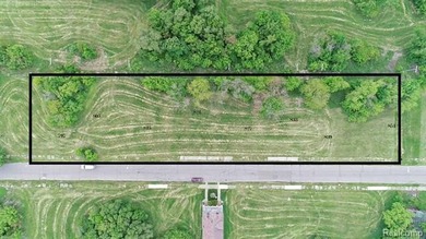 Beach Lot For Sale in Detroit, Michigan