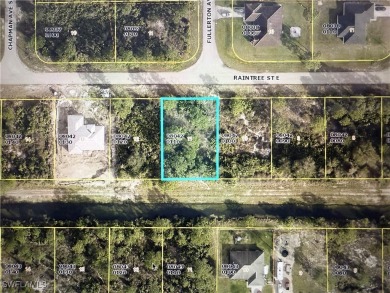 Beach Lot For Sale in Lehigh Acres, Florida