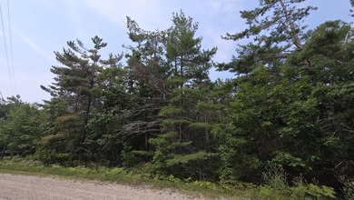 Beach Lot Sale Pending in Cheboygan, Michigan