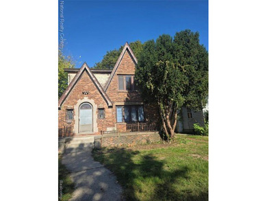 Beach Lot For Sale in Detroit, Michigan