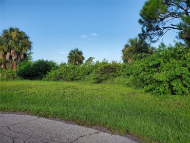 Beach Lot For Sale in Rotonda West, Florida