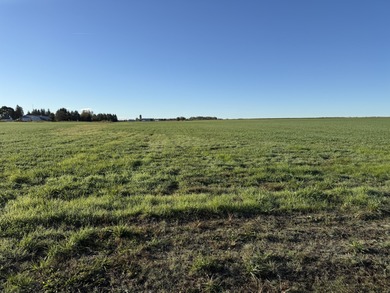 Beach Acreage For Sale in Alpena, Michigan