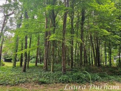 Beach Lot For Sale in Saugatuck, Michigan