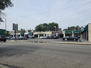 Beach Commercial For Sale in Chicago, Illinois