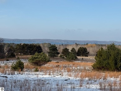 Beach Acreage For Sale in Alden, Michigan