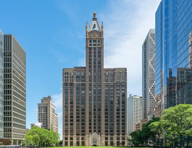 Beach Condo For Sale in Chicago, Illinois