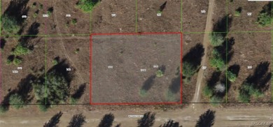 Beach Lot For Sale in Crystal River, Florida