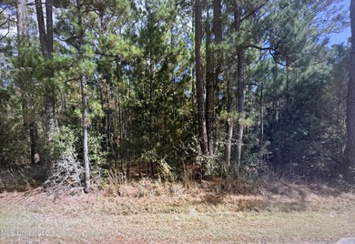 Beach Acreage For Sale in Bay Saint Louis, Mississippi