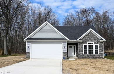 Beach Home For Sale in Madison, Ohio