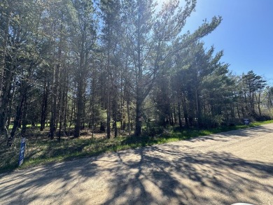 Beach Lot For Sale in Montague, Michigan