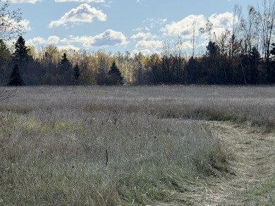 Beach Acreage For Sale in Cheboygan, Michigan