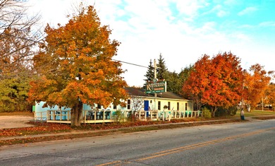 Beach Commercial For Sale in De Tour Village, Michigan