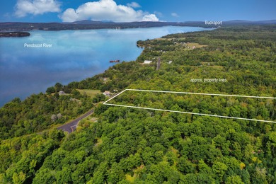 Beach Acreage For Sale in Penobscot, Maine