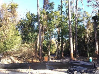 Beach Lot For Sale in Palm Harbor, Florida