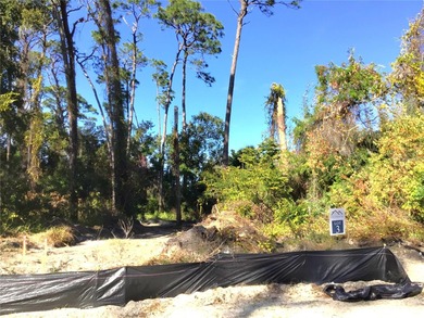 Beach Lot For Sale in Palm Harbor, Florida