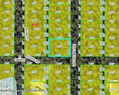 Beach Lot For Sale in Spring Hill, Florida