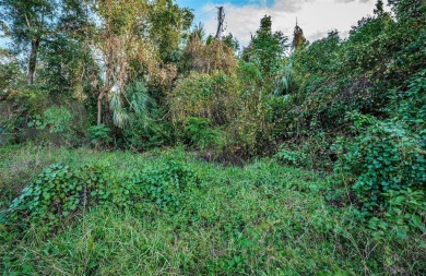 Beach Lot For Sale in Hudson, Florida