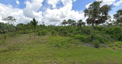 Beach Lot For Sale in Port Charlotte, Florida