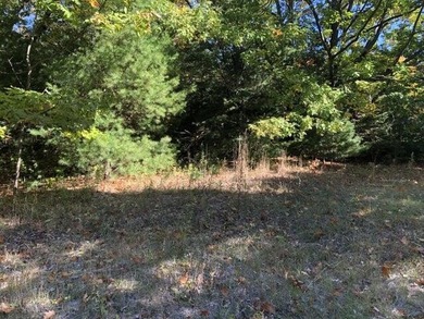 Beach Lot For Sale in Mackinaw City, Michigan