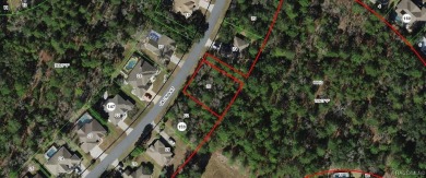 Beach Lot Sale Pending in Homosassa, Florida