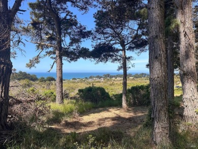 Beach Acreage For Sale in Sea Ranch, California