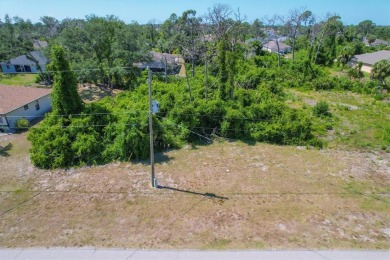 Beach Lot For Sale in Rotonda West, Florida