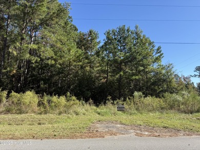 Beach Lot For Sale in Little River, South Carolina
