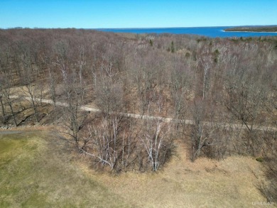 Beach Lot For Sale in Garden, Michigan