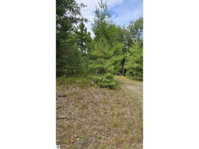 Beach Lot For Sale in Oscoda, Michigan
