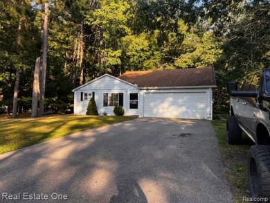 Beach Home For Sale in Greenbush, Michigan