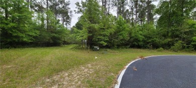 Beach Lot For Sale in Townsend, Georgia