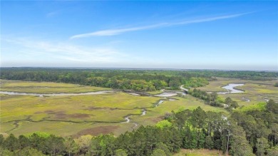 Beach Lot For Sale in Townsend, Georgia