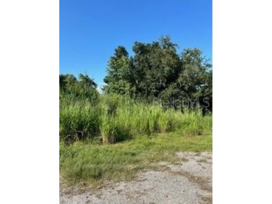 Beach Lot For Sale in Punta Gorda, Florida