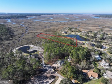 Beach Acreage For Sale in Saint Marys, Georgia