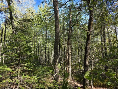 Beach Acreage For Sale in Belfast, Maine