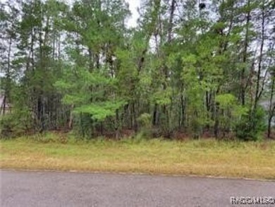 Beach Lot For Sale in Homosassa, Florida