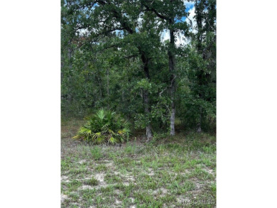 Beach Lot For Sale in Homosassa, Florida