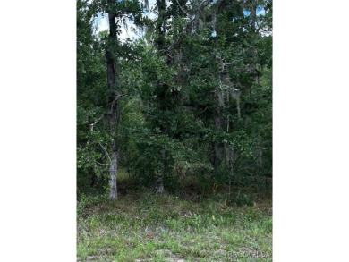 Beach Lot For Sale in Homosassa, Florida