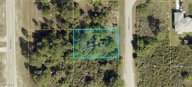 Beach Lot For Sale in Lehigh Acres, Florida