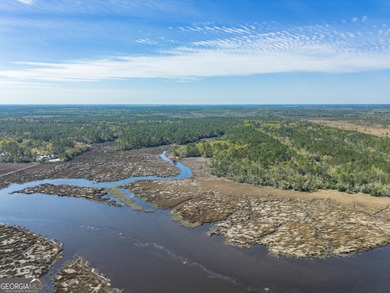 Beach Acreage For Sale in Waverly, Georgia