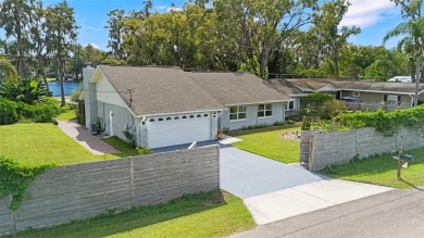 Beach Home For Sale in Land O Lakes, Florida