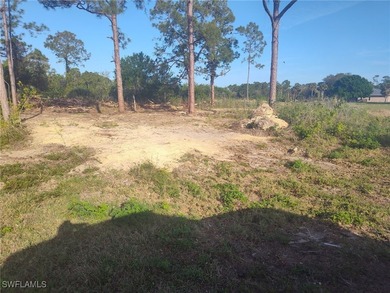 Beach Lot For Sale in Lehigh Acres, Florida