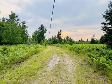 Beach Acreage For Sale in Alpena, Michigan