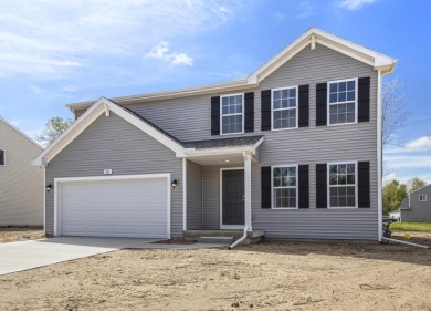 Beach Home For Sale in Bridgman, Michigan