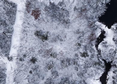 Beach Lot For Sale in Surry, Maine