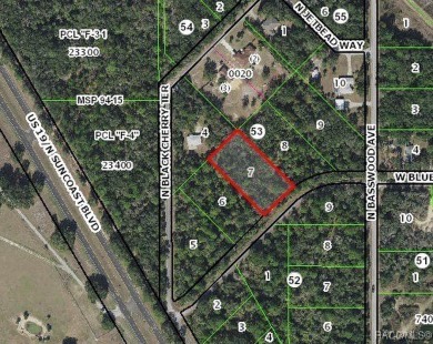 Beach Lot For Sale in Crystal River, Florida