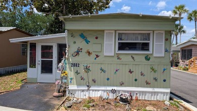 Beach Home For Sale in New Smyrna Beach, Florida
